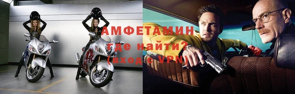 прущие грибы Богданович