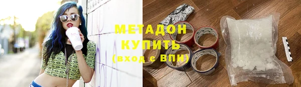 прущие грибы Богданович