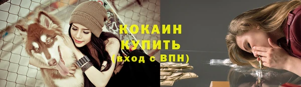 прущие грибы Богданович