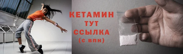 прущие грибы Богданович