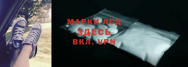 прущие грибы Богданович