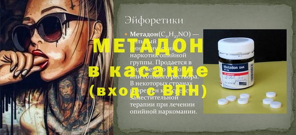 прущие грибы Богданович