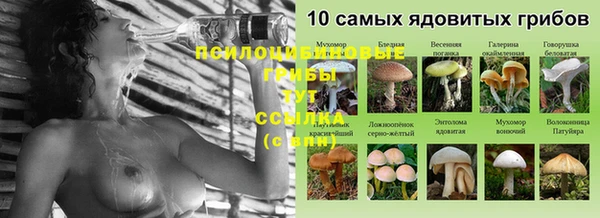 наркотики Богородск