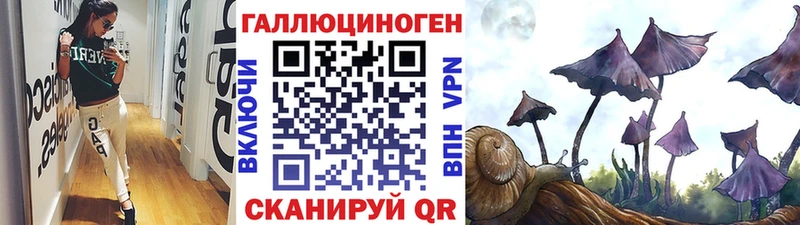 omg ссылки  Константиновск  Галлюциногенные грибы мицелий 